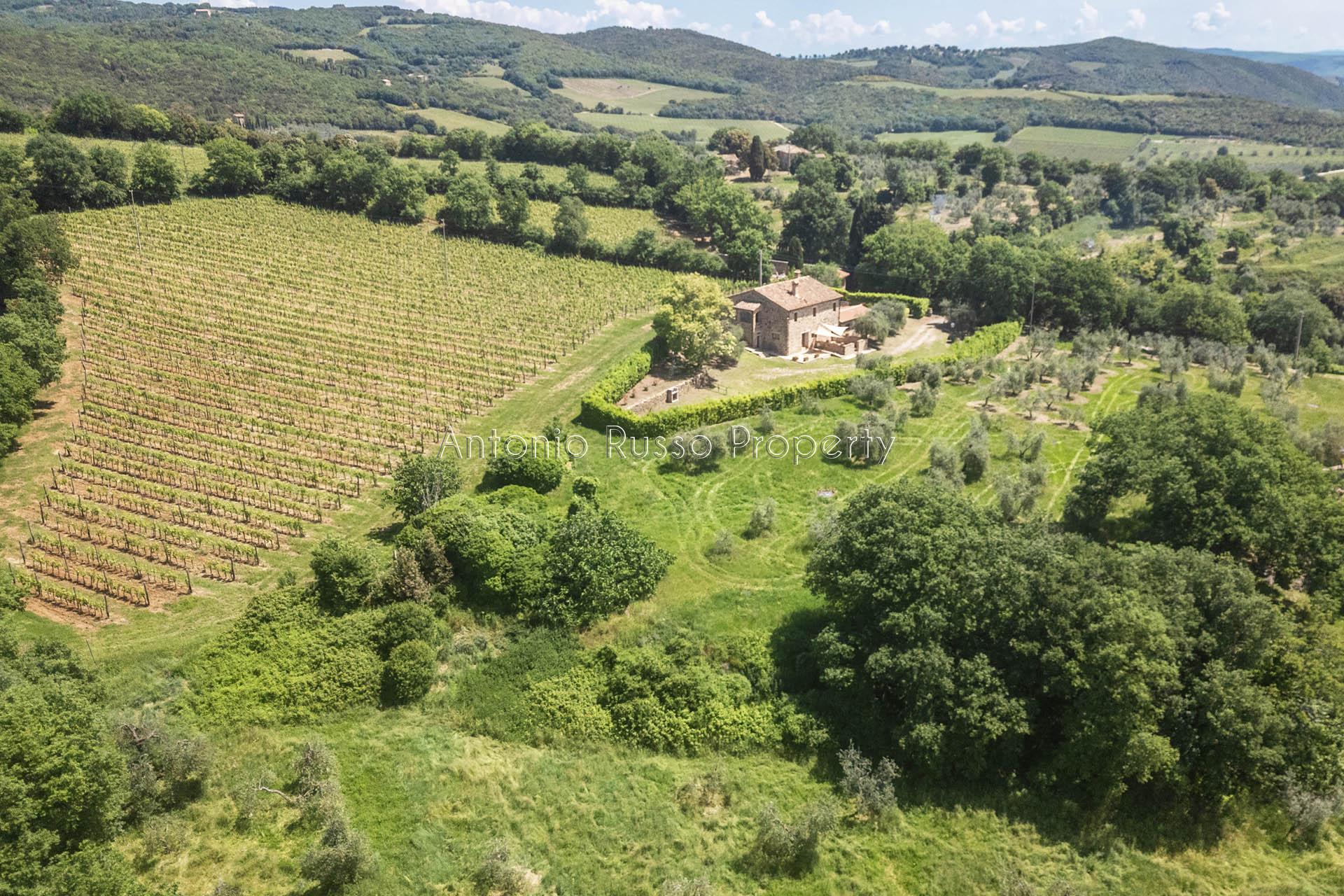 /api/file/public/265181/29551