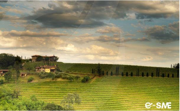 /api/file/public/265211/29848