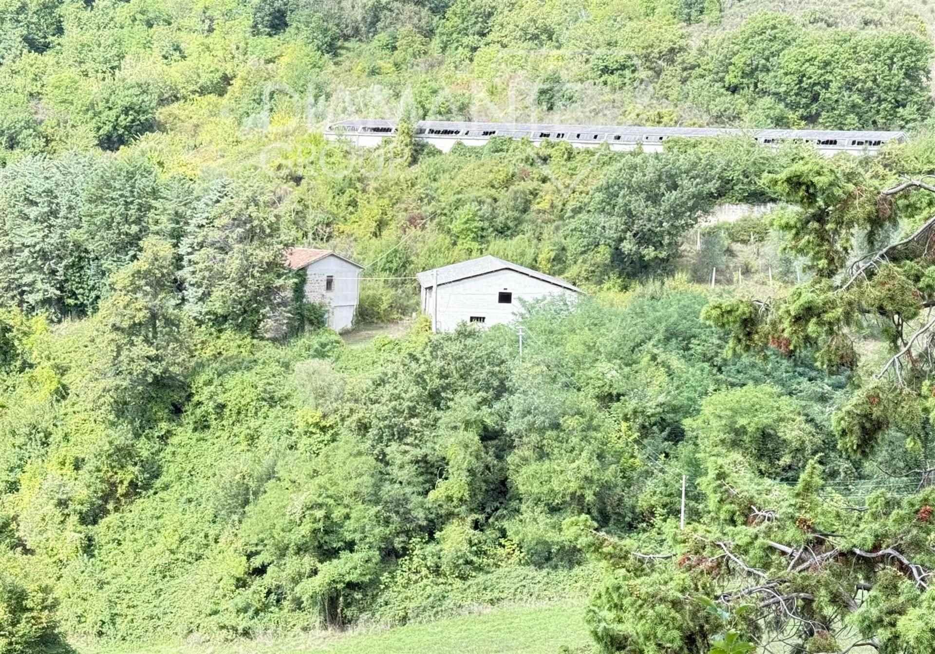 /api/file/public/265226/29883