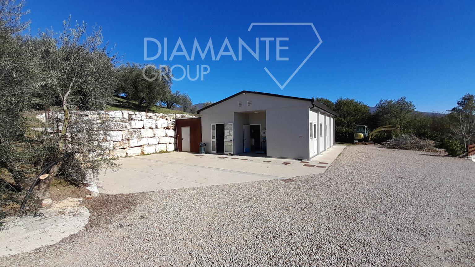 /api/file/public/265227/29971