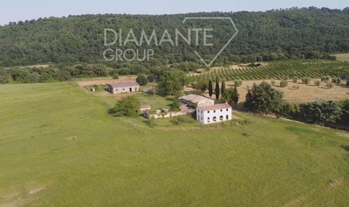 /api/file/public/265228/29886