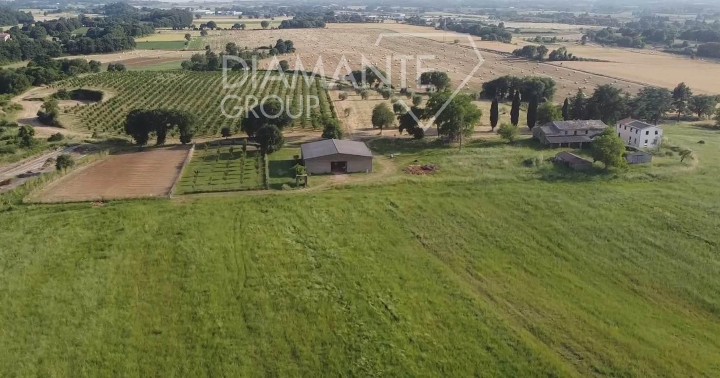 /api/file/public/265228/29887