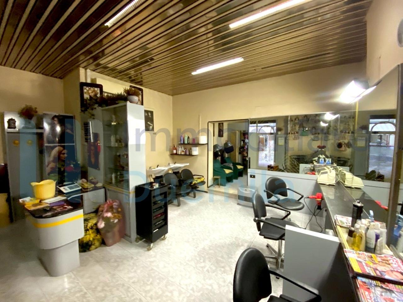 /api/file/public/265240/29904