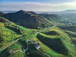 /api/file/public/265277/30161