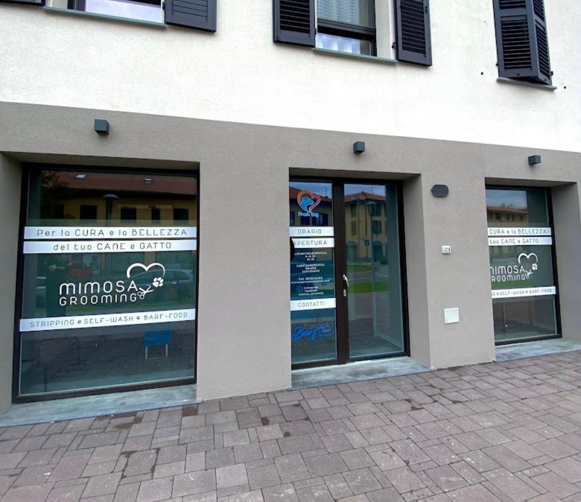 /api/file/public/265309/30298