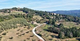 /api/file/public/265320/30430