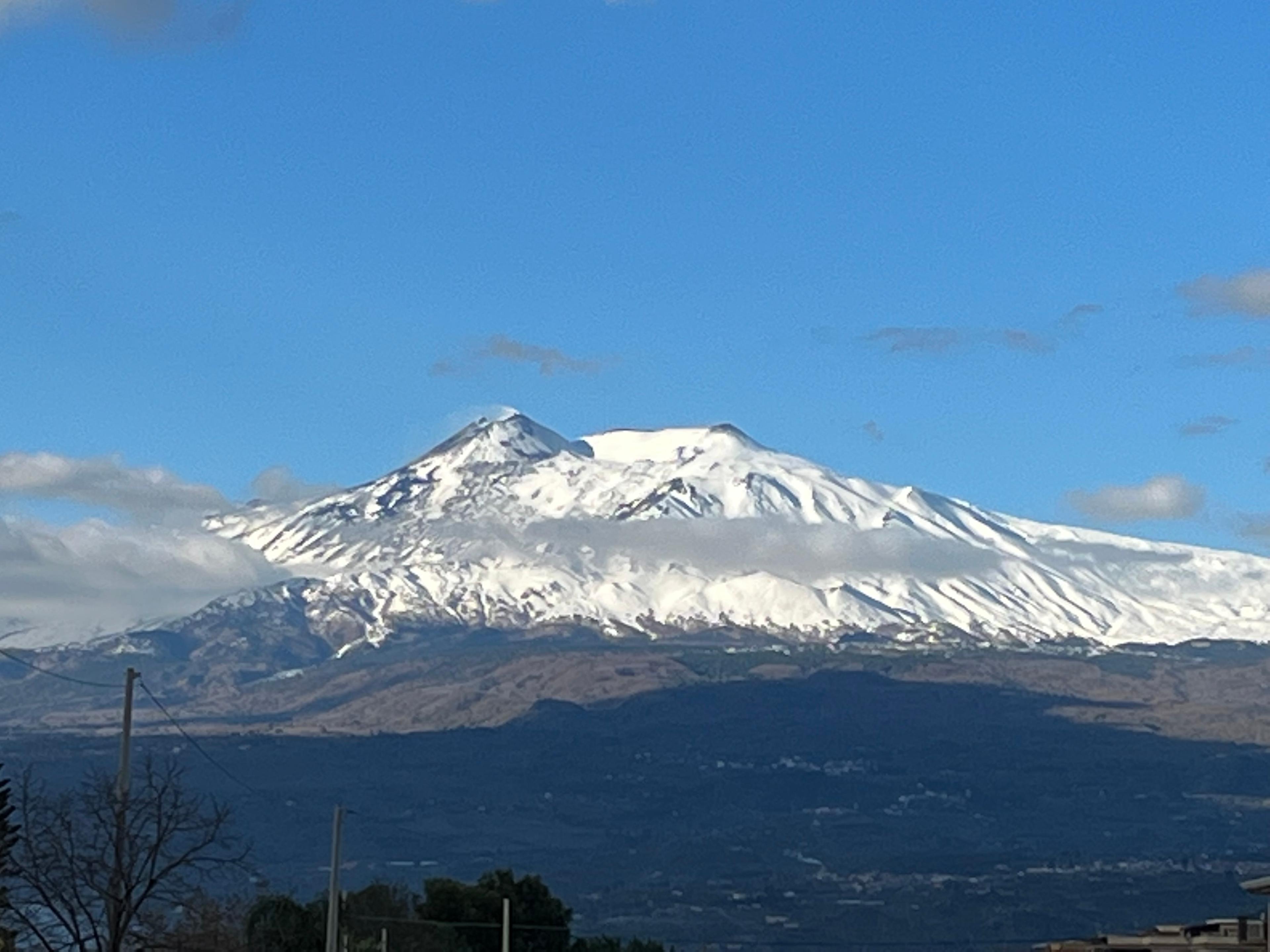 /api/file/public/265324/30449