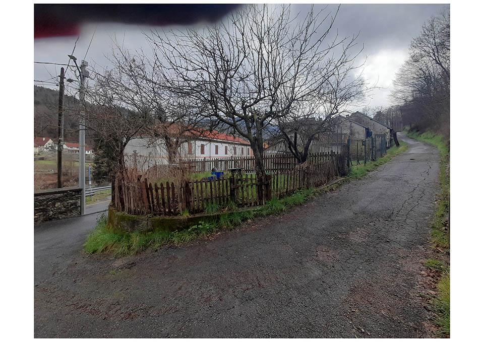 /api/file/public/265331/30590