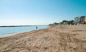 /api/file/public/265343/30651