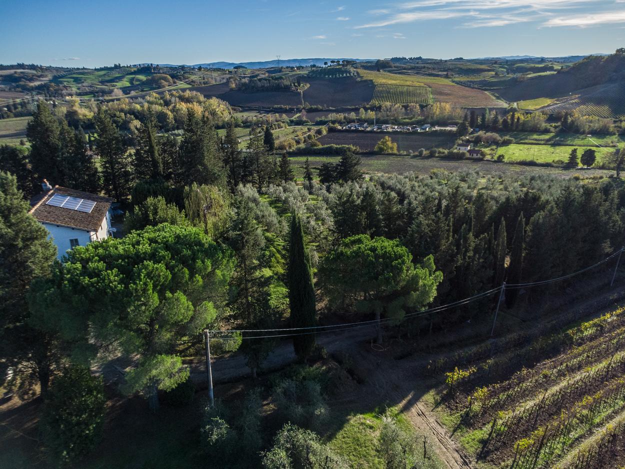 /api/file/public/265345/30678