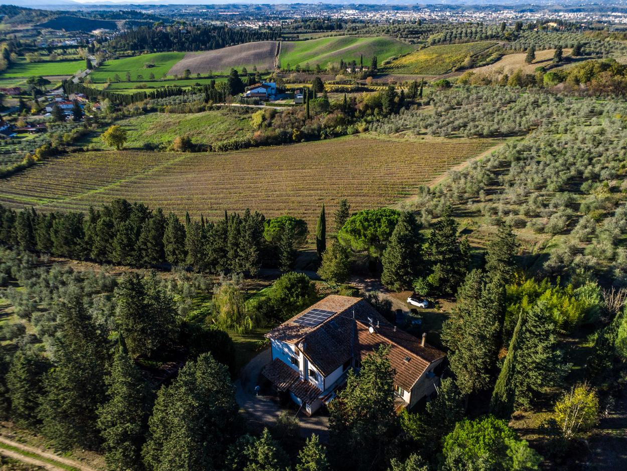 /api/file/public/265345/30683