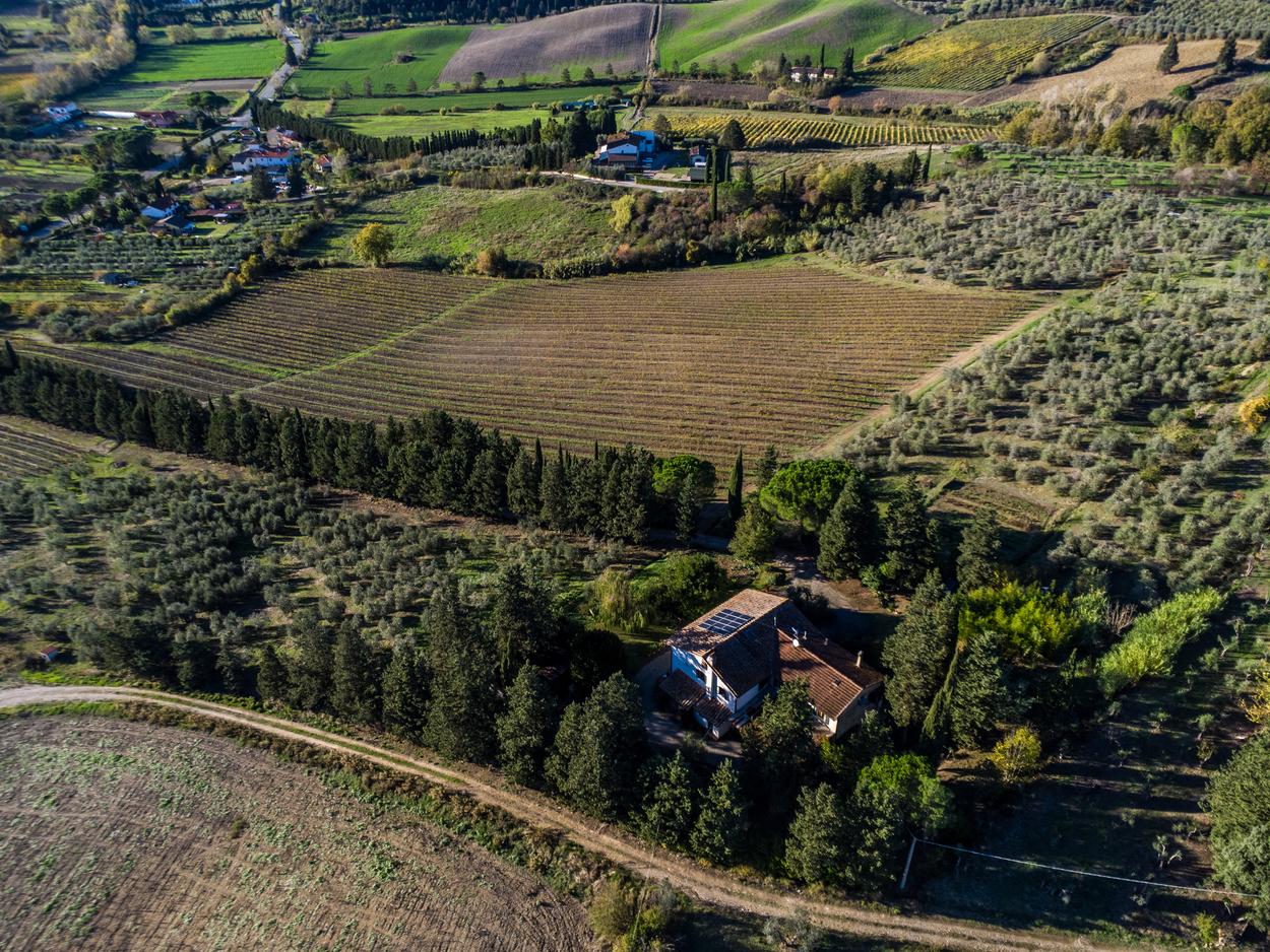 /api/file/public/265345/30686