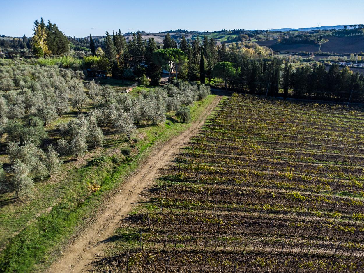 /api/file/public/265345/30687