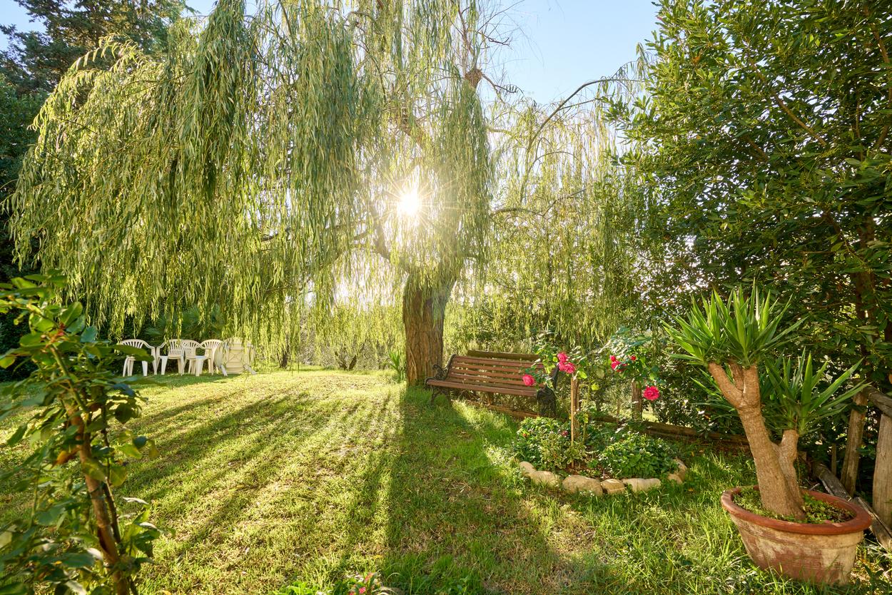 /api/file/public/265345/30688