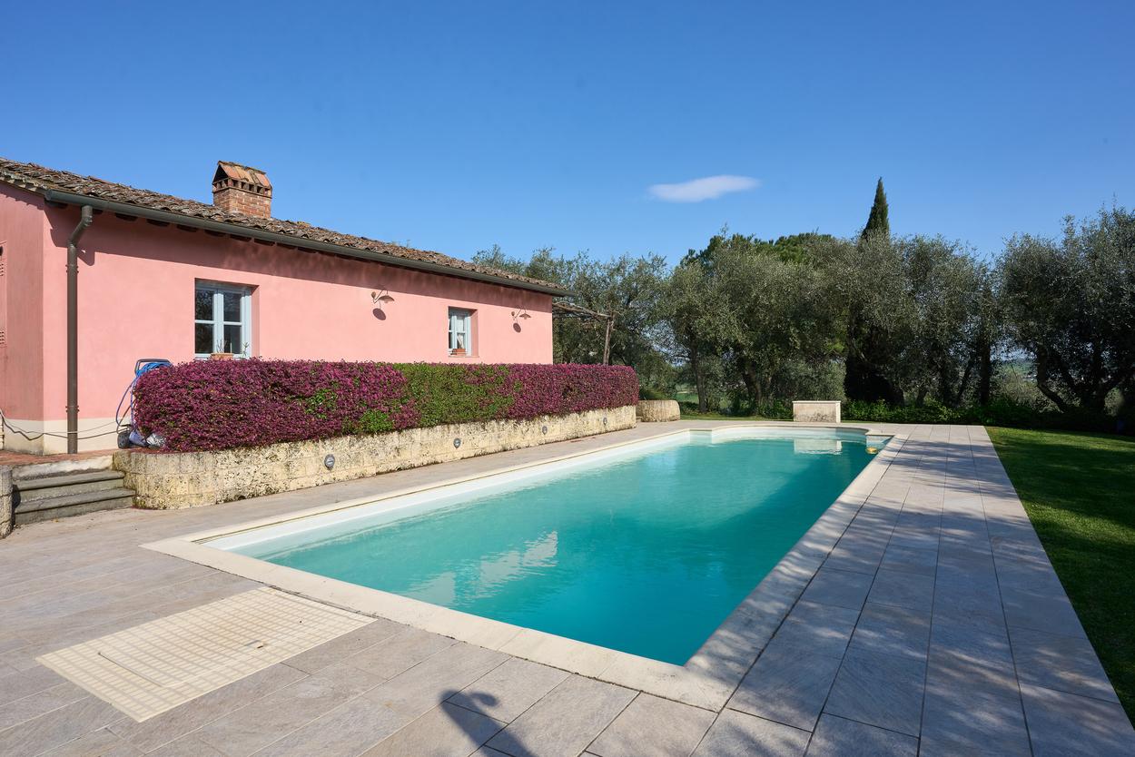 /api/file/public/265346/30699