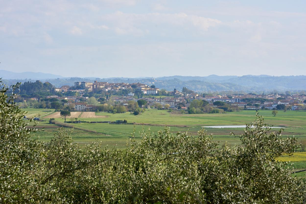 /api/file/public/265346/30706