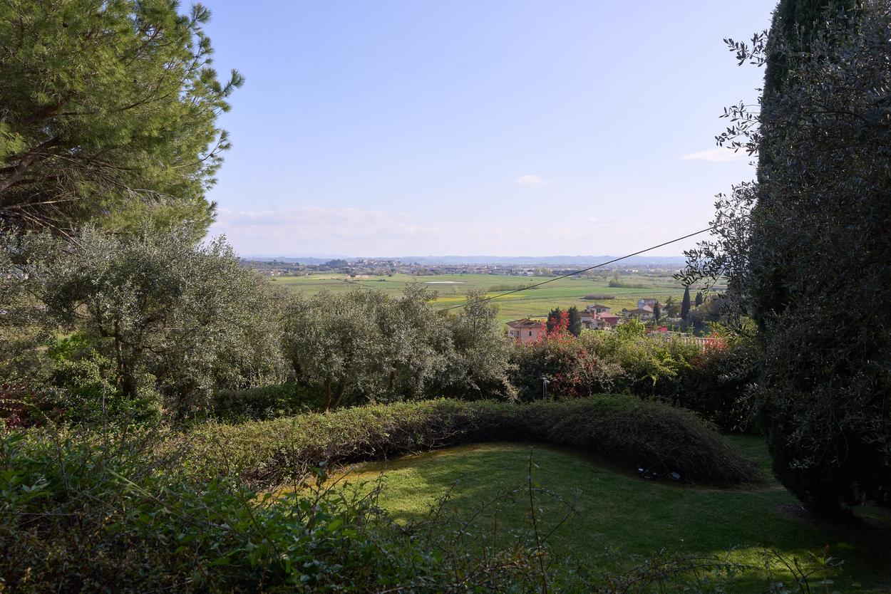 /api/file/public/265346/30713