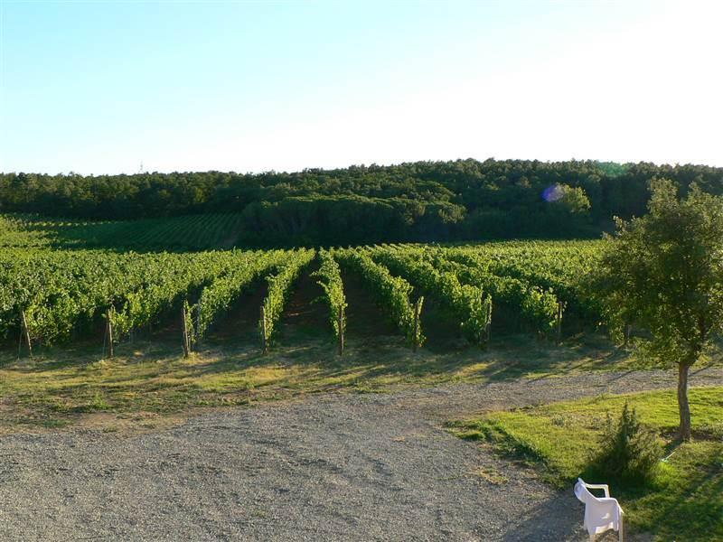 /api/file/public/265352/30745