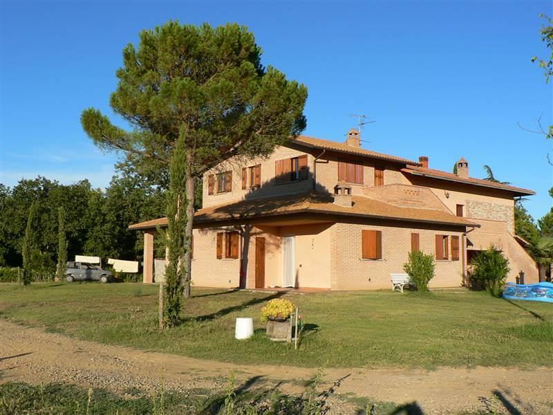 /api/file/public/265352/30746