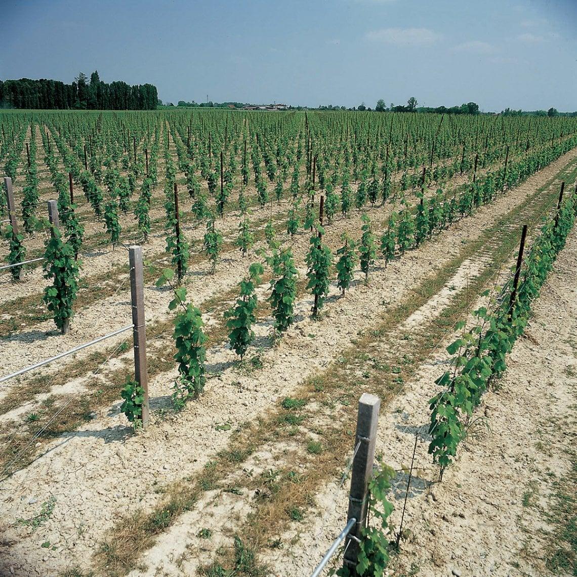 /api/file/public/265357/30824