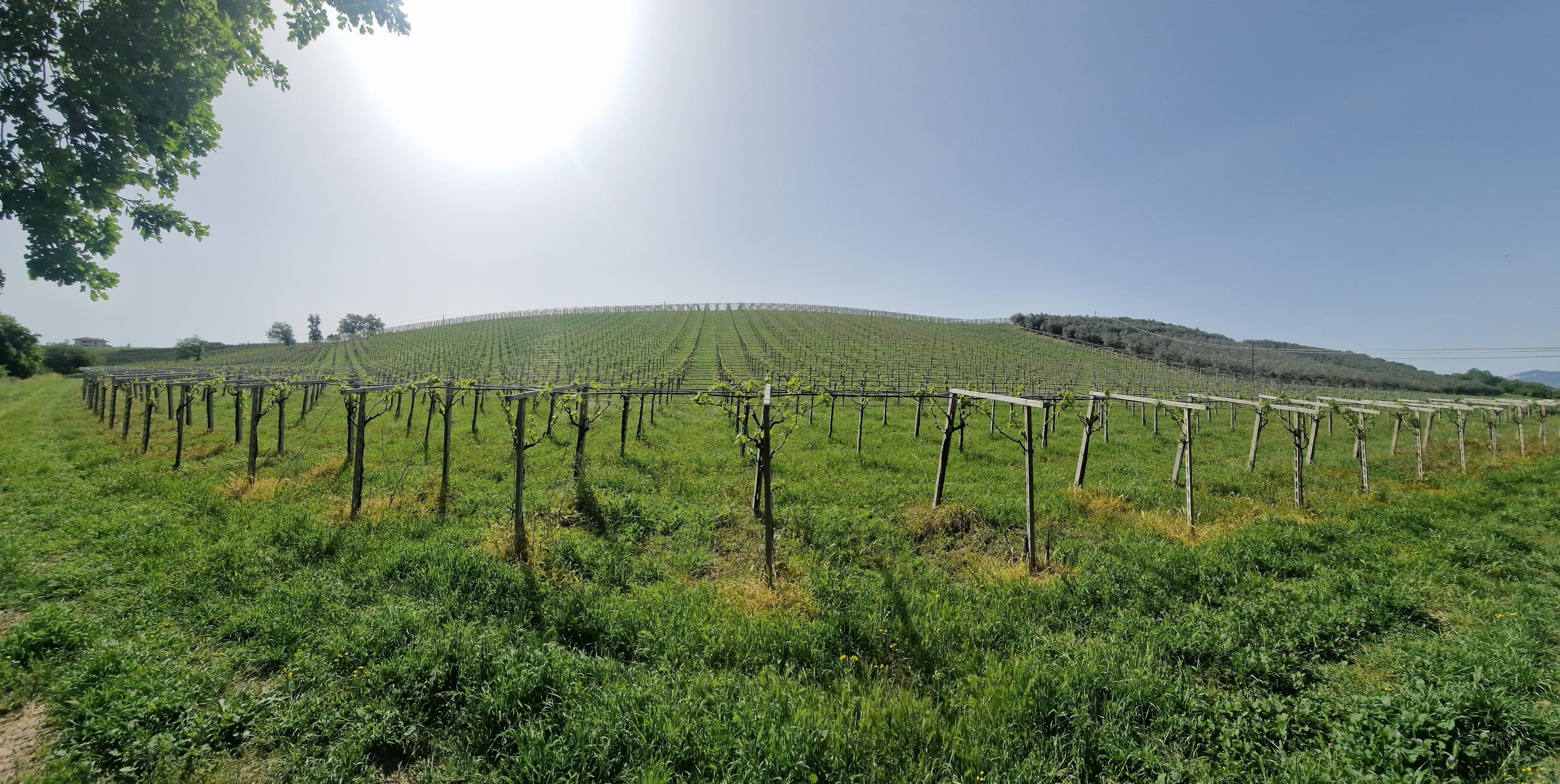 /api/file/public/265369/30848