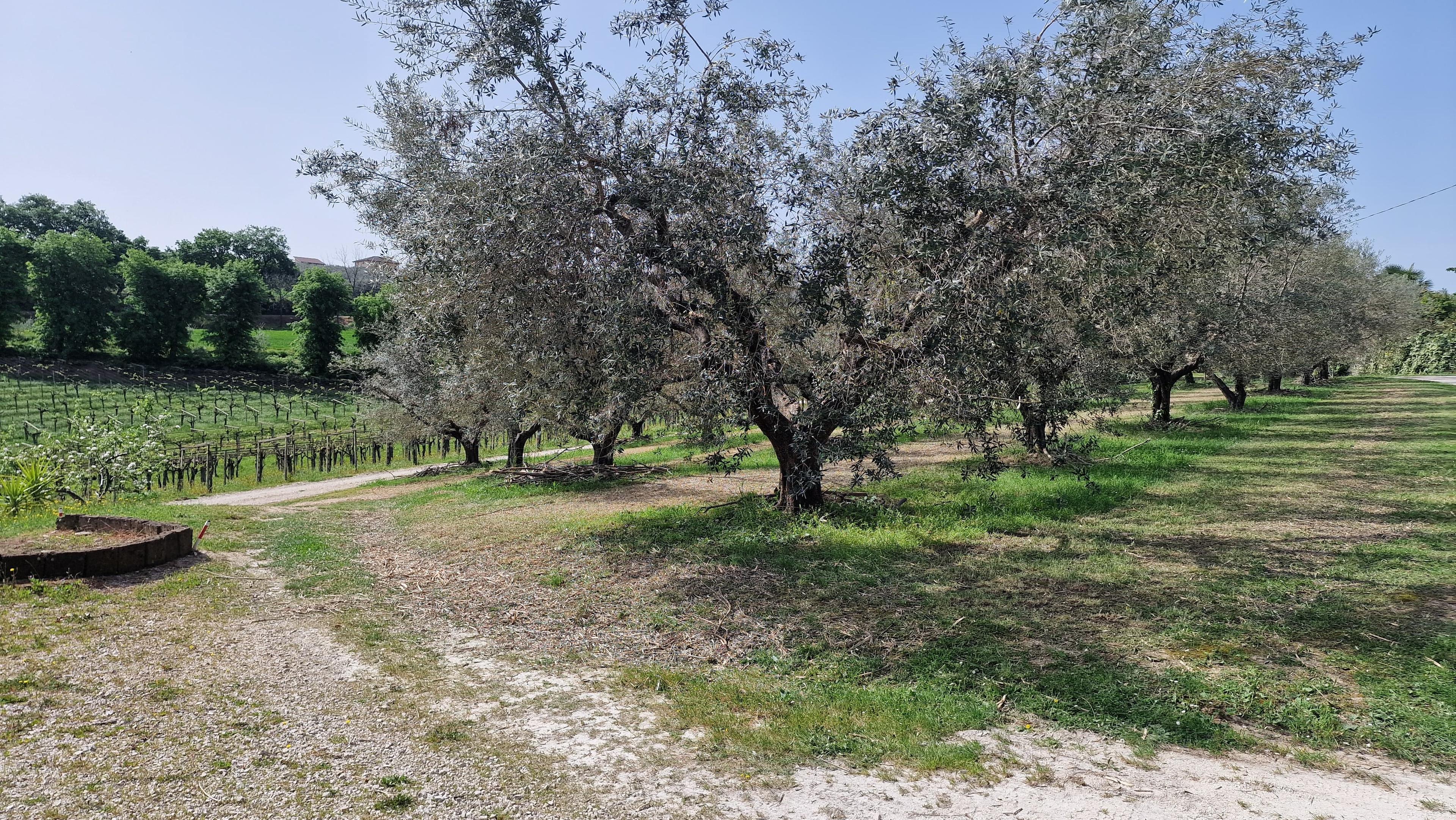 /api/file/public/265369/30850