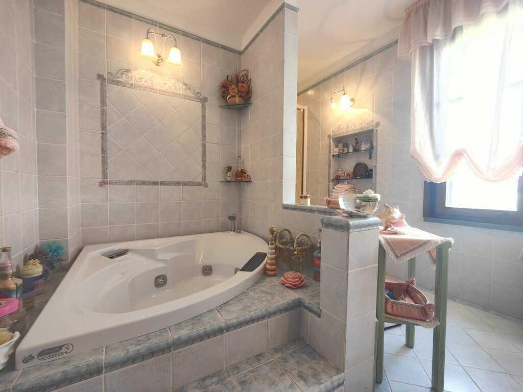 /api/file/public/265375/30862