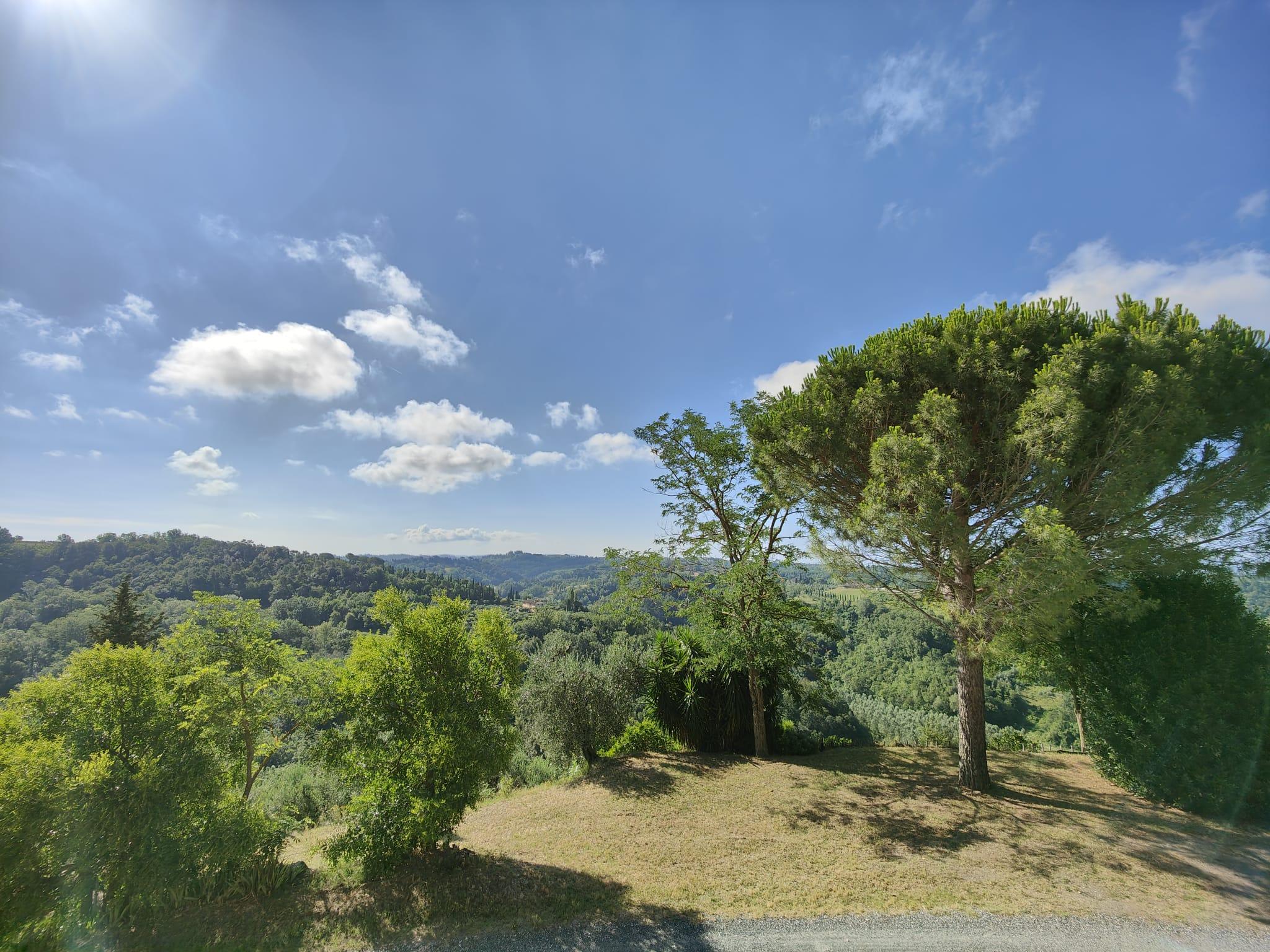 /api/file/public/265376/30877