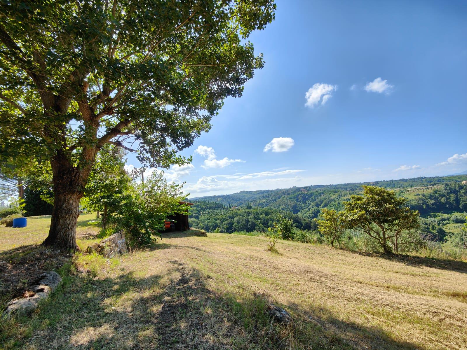 /api/file/public/265376/30878