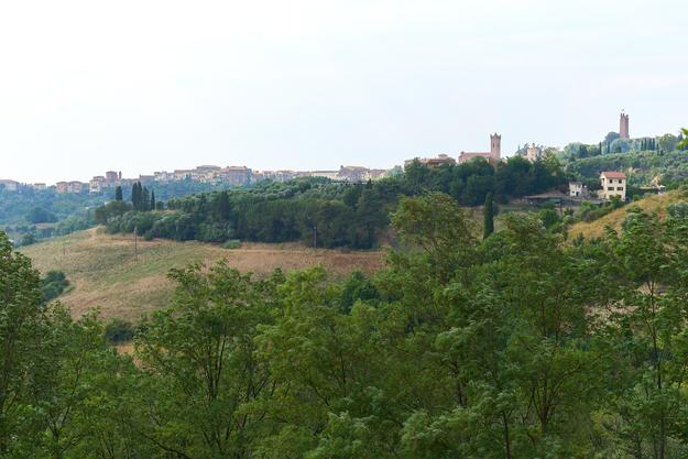 /api/file/public/265377/30896