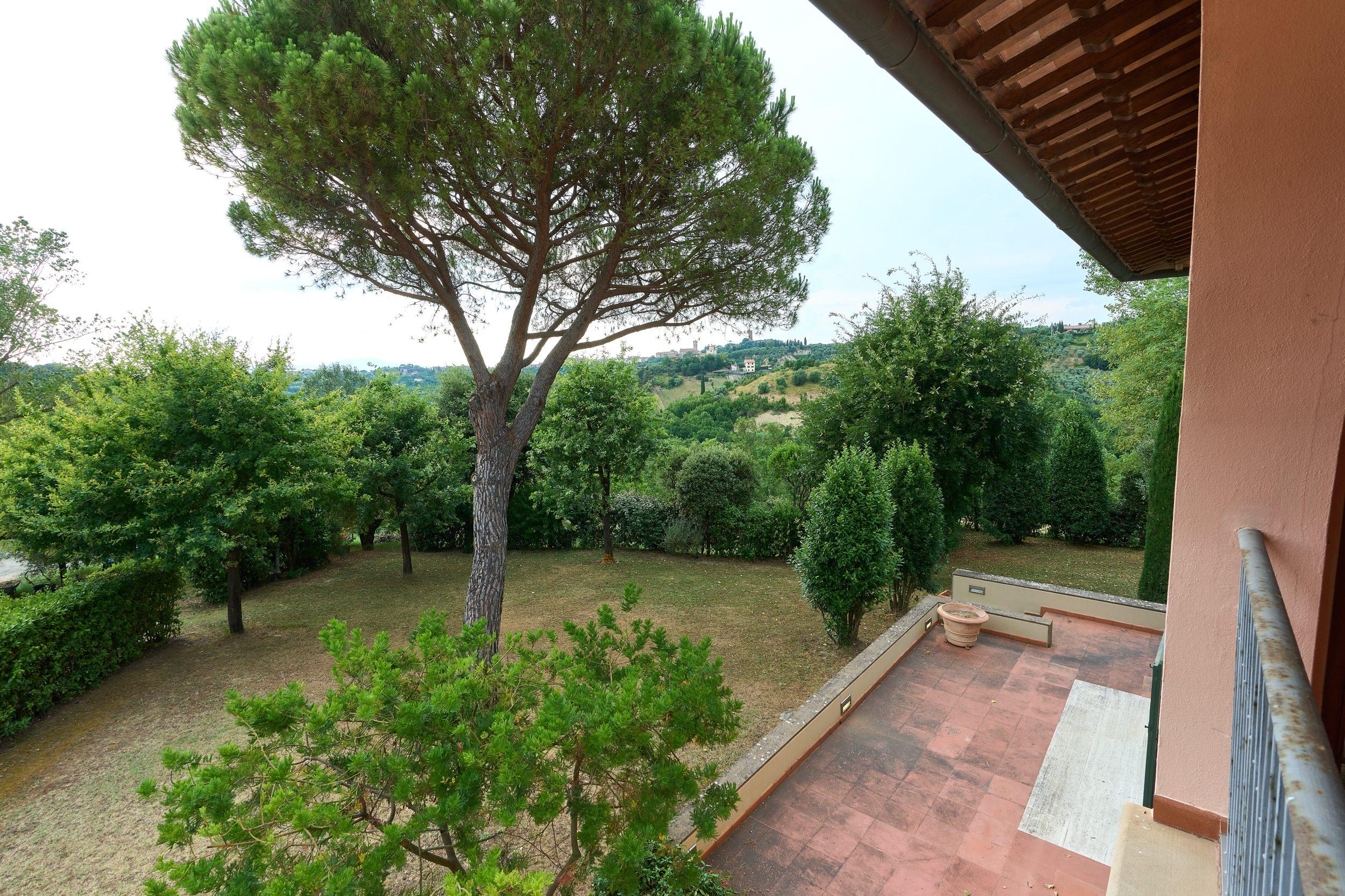 /api/file/public/265377/30900