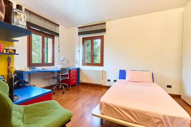 /api/file/public/265377/30906