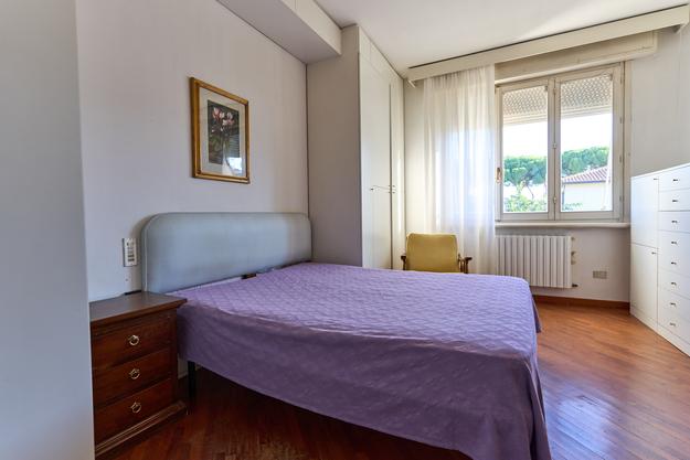 /api/file/public/265380/30929