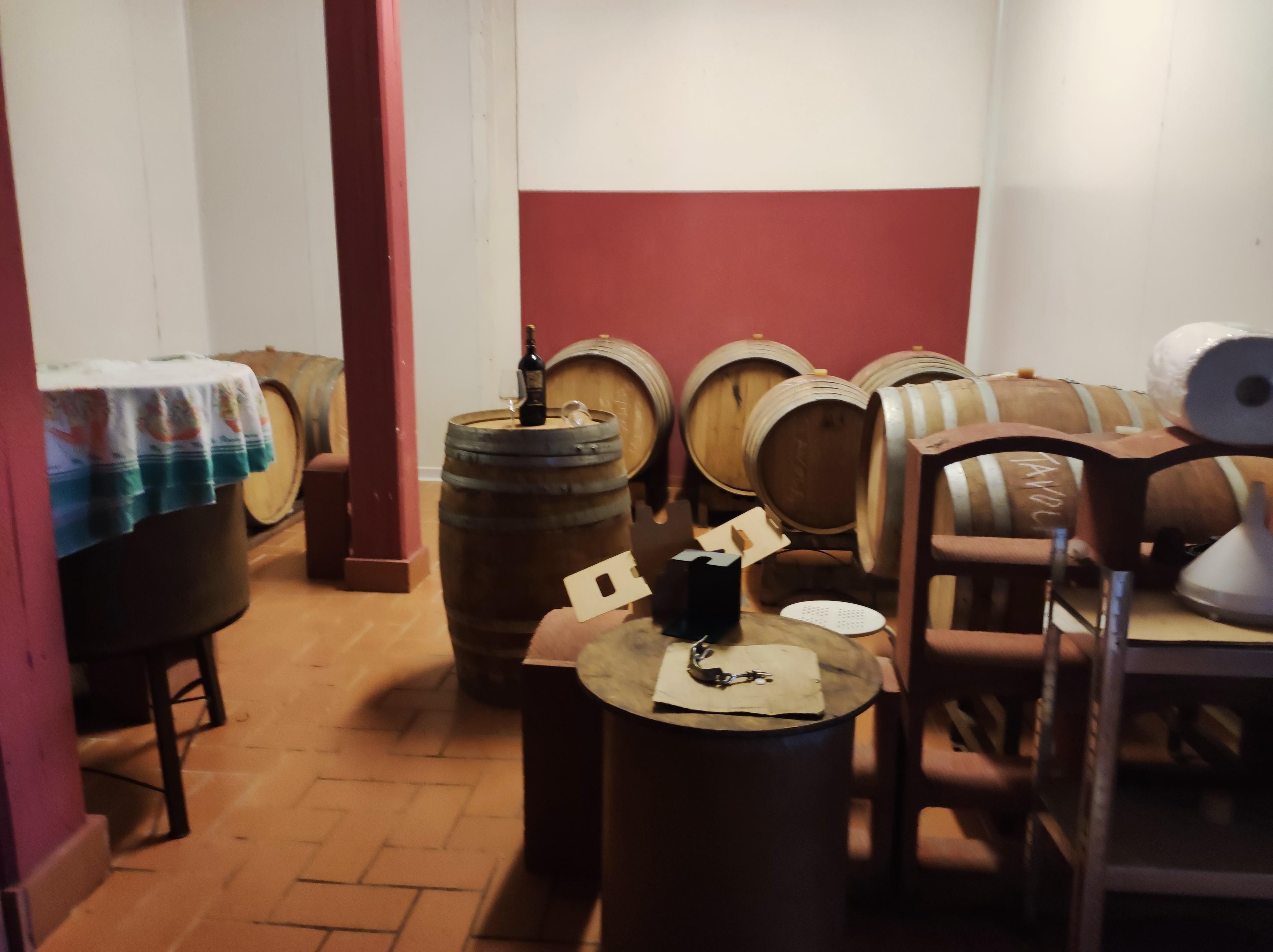 /api/file/public/265384/30998