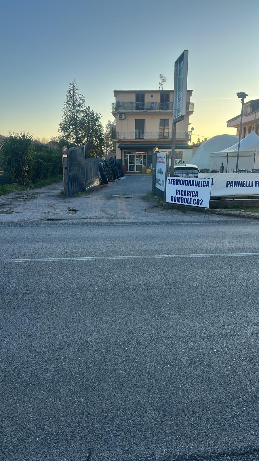 /api/file/public/265389/31008