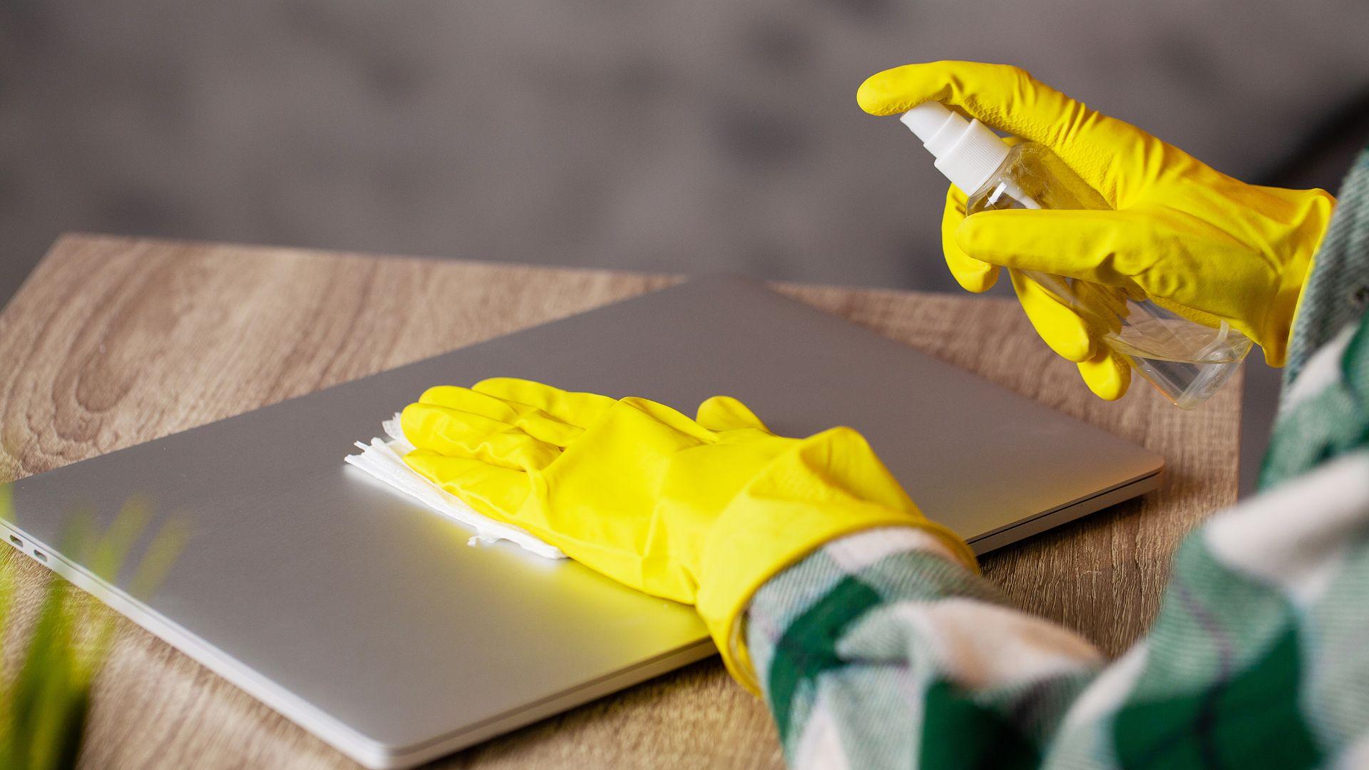 /api/file/public/local/stock/19/9519