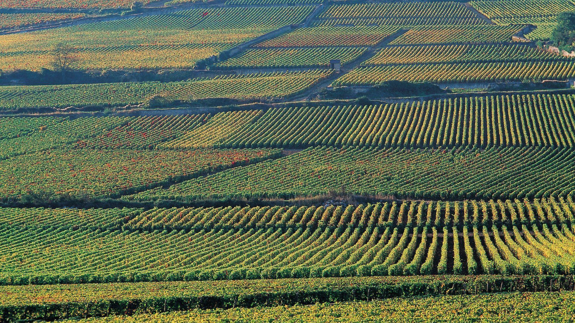 /api/file/public/local/stock/36/9271