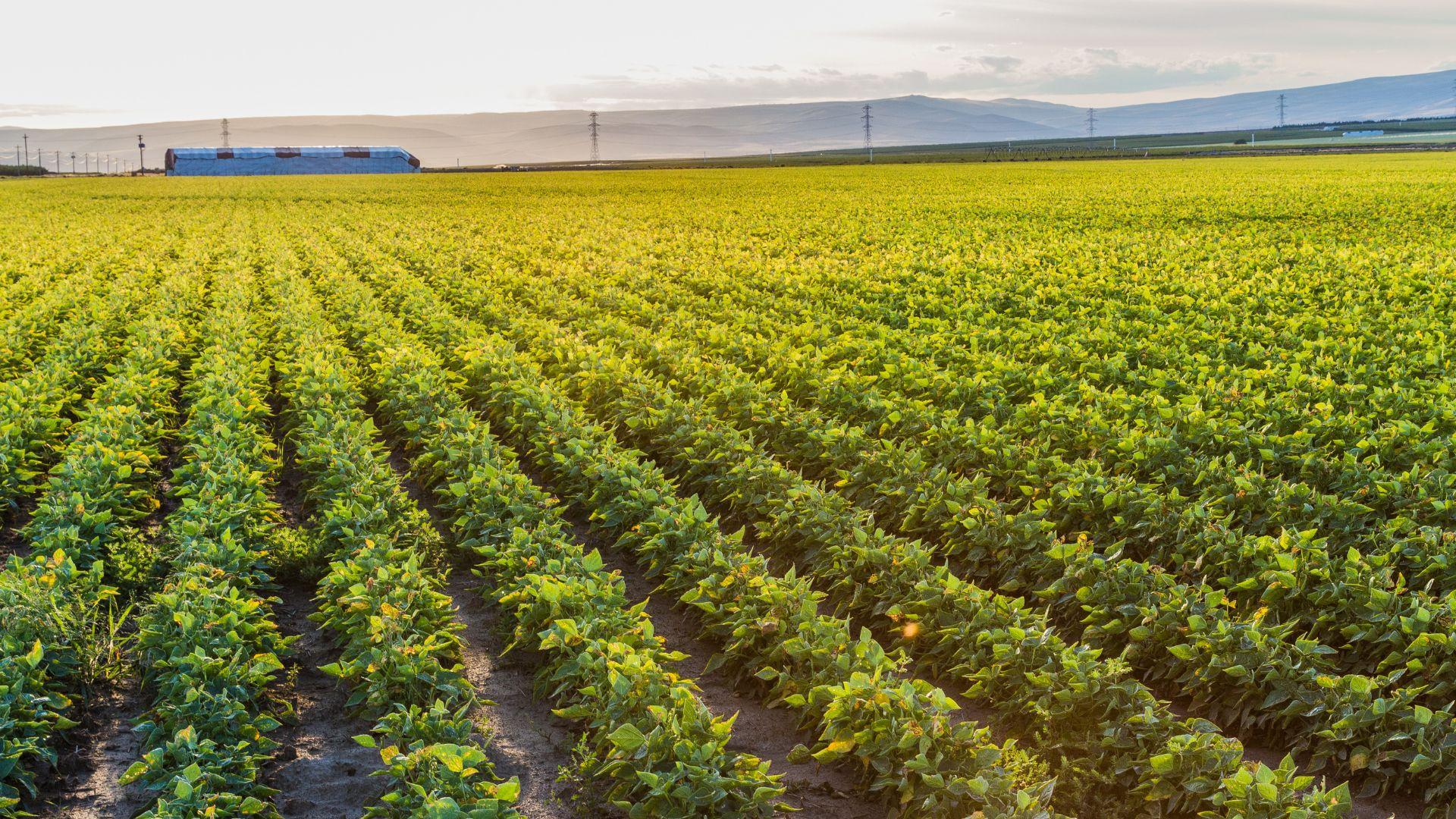 /api/file/public/local/stock/36/9284