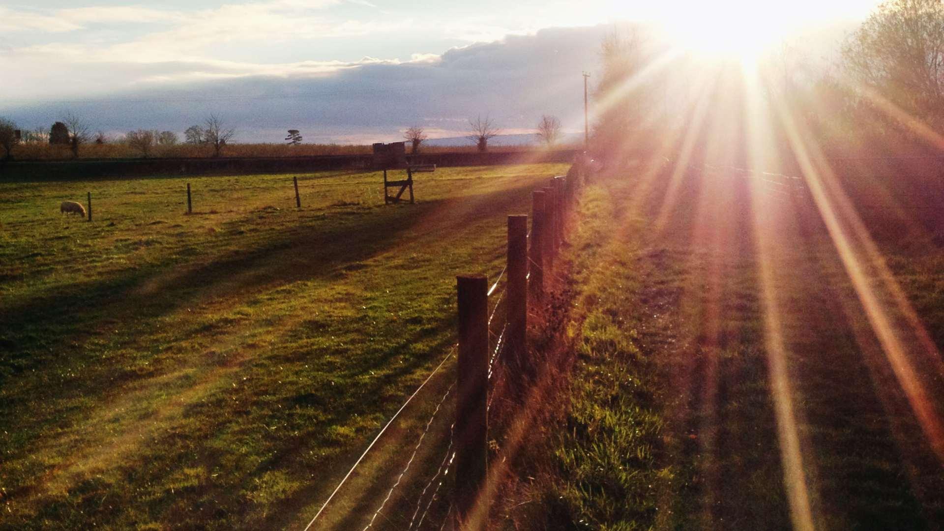 /api/file/public/local/stock/36/9287