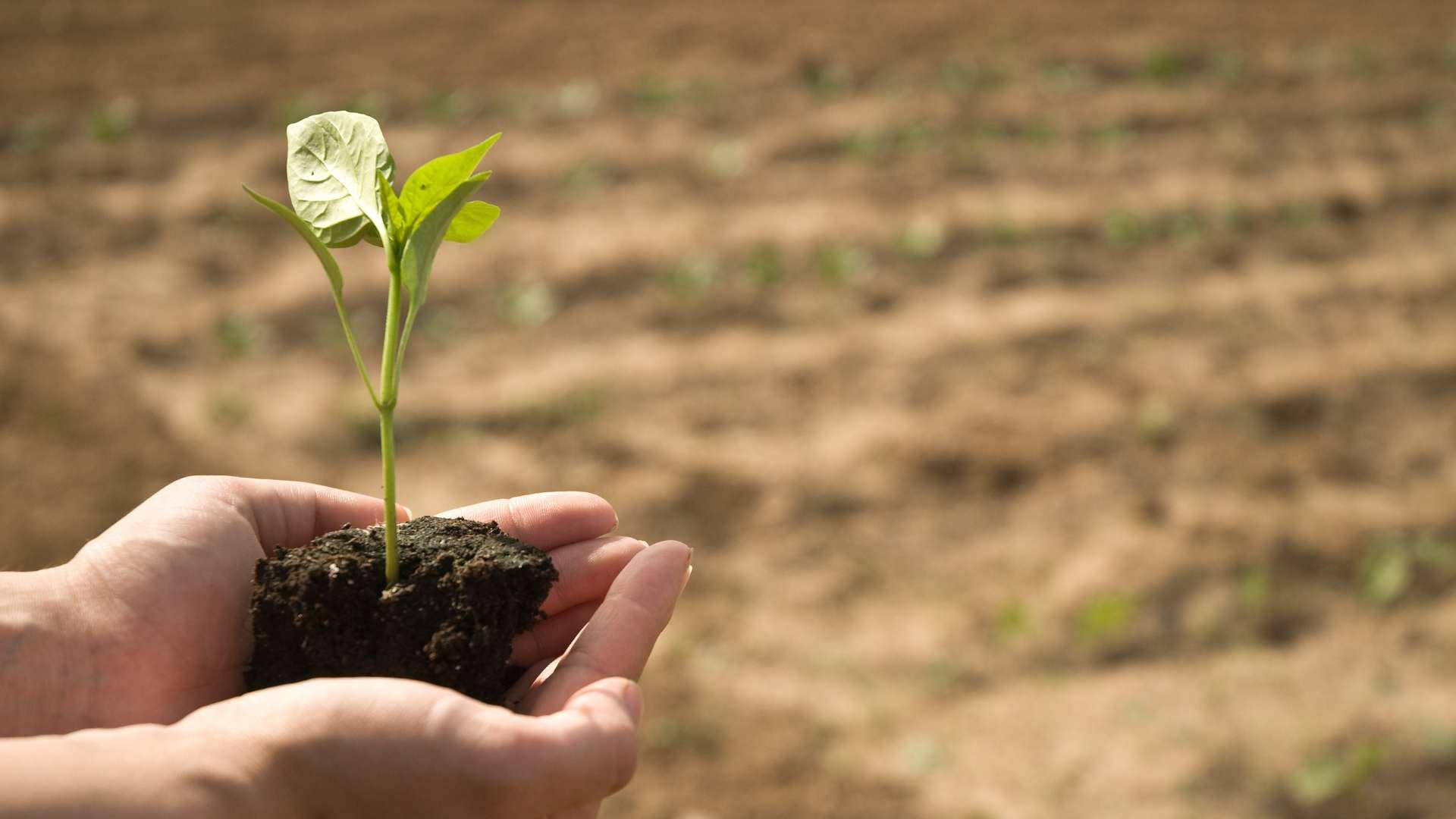 /api/file/public/local/stock/36/9289