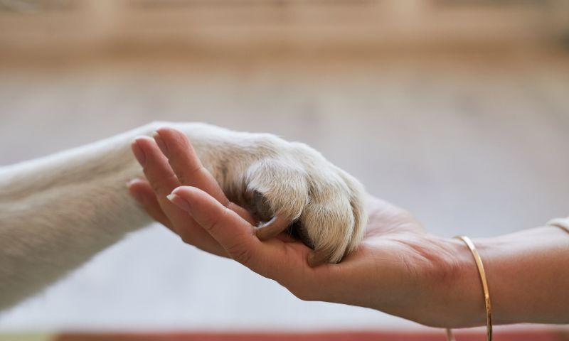 /api/file/public/local/stock/4/28726