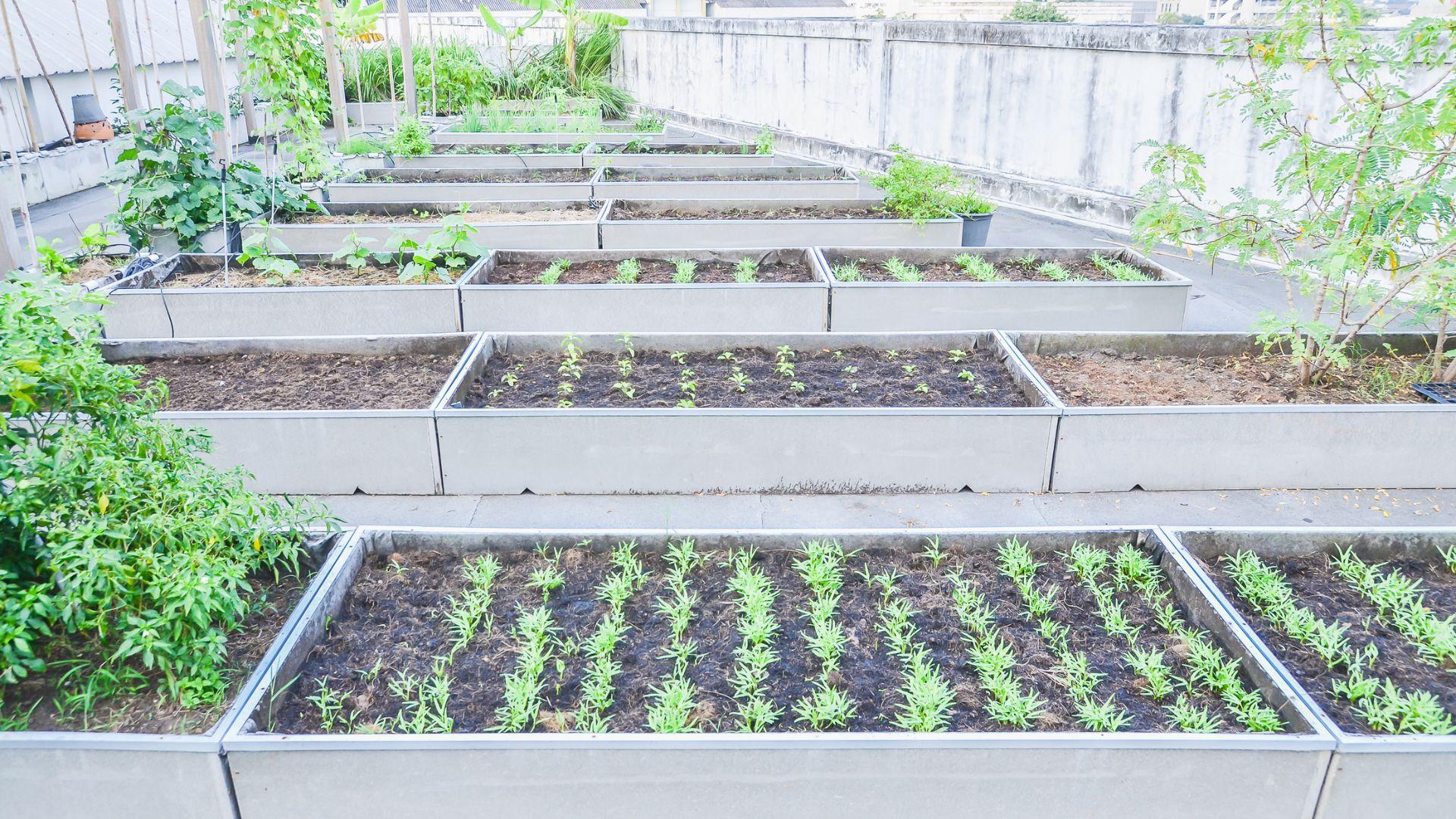 /api/file/public/local/stock/8/9401