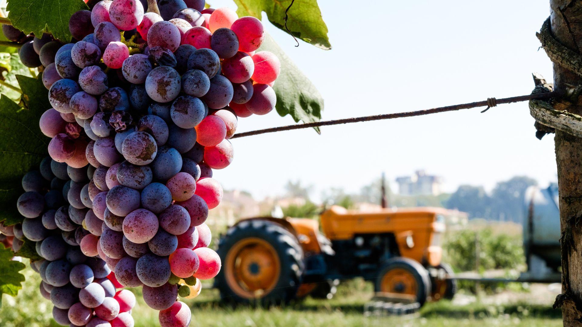 /api/file/public/local/stock/9/9405