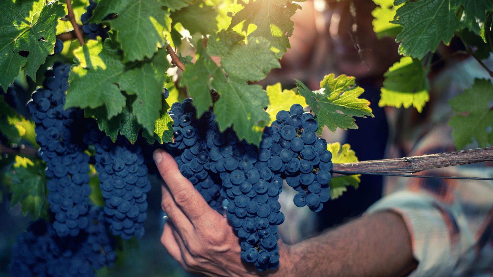 /api/file/public/local/stock/9/9410