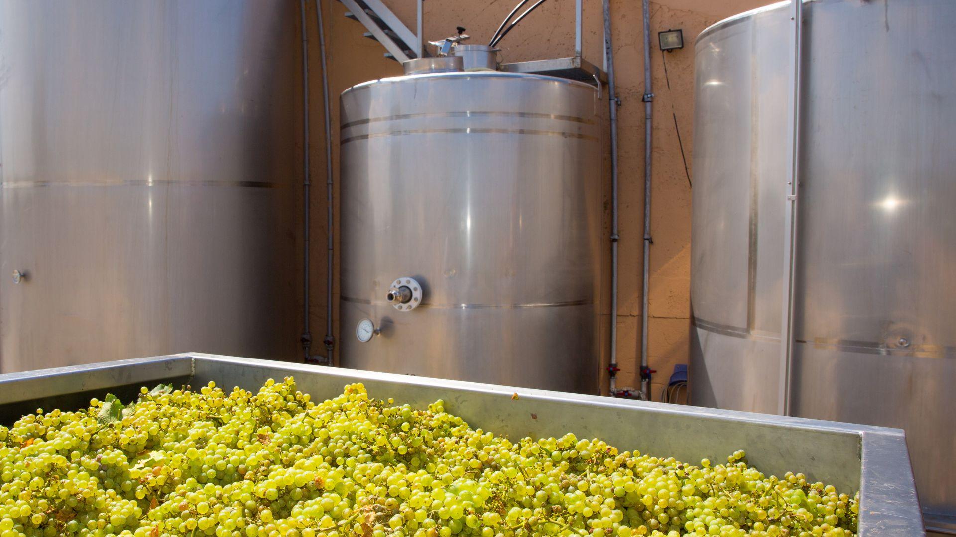 /api/file/public/local/stock/9/9412